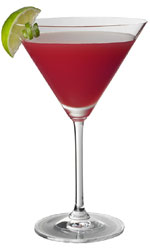 Paris Hilton Cocktail 